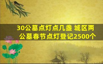30公墓点灯点几盏 城区两公墓春节点灯登记2500个